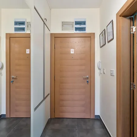 Apartment Montis *